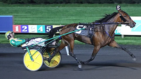 Katie's Lucky Day kehitti salamakirin, ja Tim Tetrick vähensi osaltaan ilmanvastusta maailman kärkiajan saavuttamisessa. Kuva: Lisa Photo