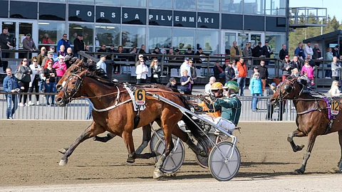 Kiikku's Giant loisti vuoden 2022 Pilvenmäki Special -finaalissa.