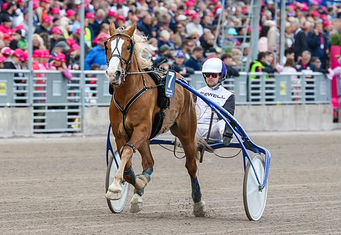 Stallone aloittaa Ruunaruhtinuuden voiton puolustamisen parhaalla mahdollisella tavalla.