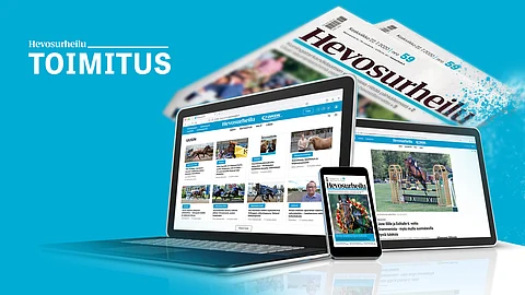 Suomen Hippos tekee poliisille tutkintapyynnön Ruukin luonto- ja hevoskeskuksen tapahtumista