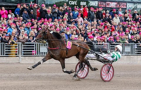 Mister F. Daag voitti Elitloppetin karsinnan.