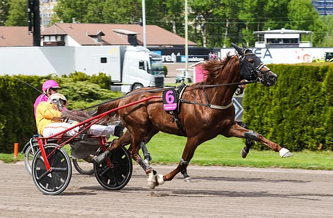 Vernissage Grif voitti jälleen Östersundissa.