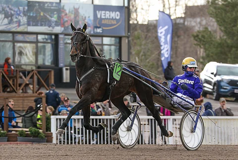 Kurri Jari Boko kilpaili Vermossa Finlandia-viikonloppuna Björn Goopin ohjastamana. Ensi lauantaina Veijo Heiskanen hoitaa valmennettavansa ohjastuksen itse.