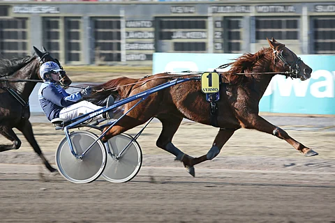 Huhtikuussa Vermossa voittanut Rock Vice nappasi uransa toisen täysosuman tiistaina Teivossa.