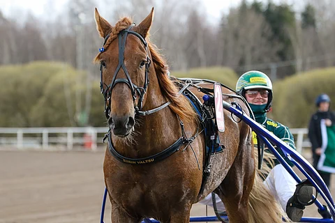 Siirin Valtsu tekee uutta tulemistaan.