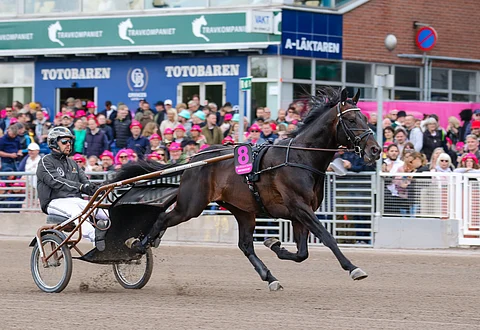 Don Fanucci Zet voitti Hugo Åbergs Memorialin.