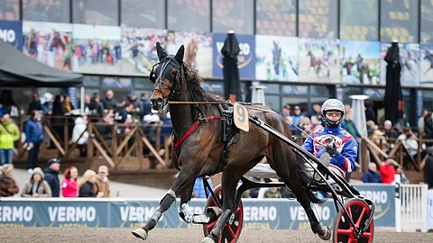 Lapland Royal kilpaili urallaan 37 kertaa totosijoin 11-4-3 ja tienasi 30 040 euroa.