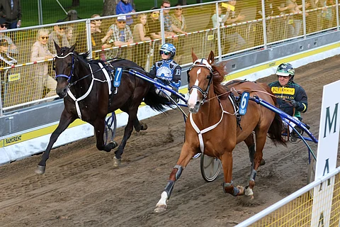 Rhapsody Point ja Bag´s Simoni viime vuoden Cityraveissa Hamina Bastionissa.