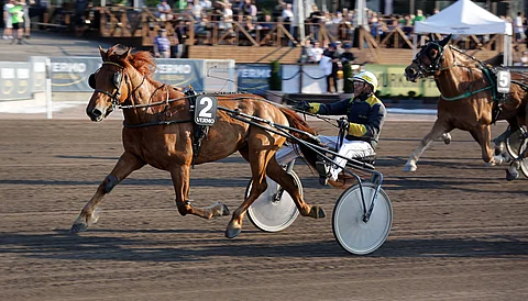 Juha Jalonen ajoi Villi Vilpertin voittajaksi.