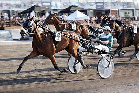 Markku Elfvingin Mickey The Artist on päätöskohteessa hyvä pelikohde.