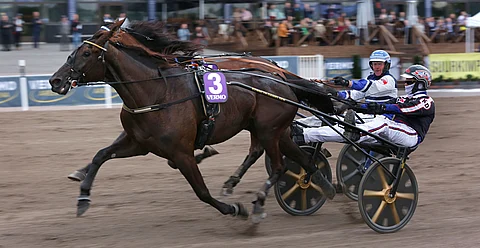 Dusktodawn Boogie piti Magic Madonnan aisoissa perille asti.