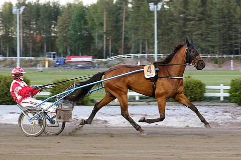 Shackhills Twister ja Jari Kinnunen veivät nimiinsä Ilkka-Pohjalainen ajon finaalin 2.6.2022.