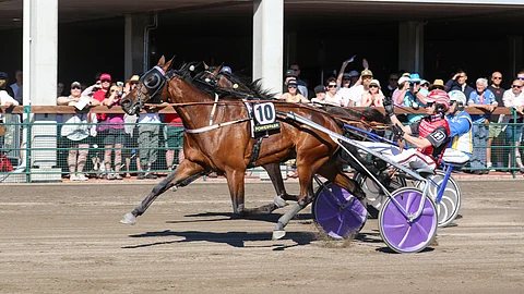 Global Withdrawl kiri hurjasti lämminveristen päälähdön ykköseksi viime kesänä PowerParkin juhannusraveissa.