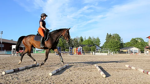 Kun hevosen halutaan venyttävän askeltaan, puomien välejä pidennetään asteittain.
