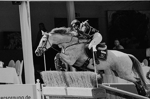 "Viimeisellä maastoesteellä heitin vaan ohjat", Wikström kertoo.