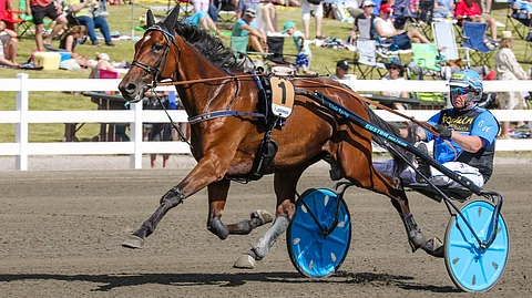 Laukkaherkän Zara Avengerin kärryille hyppää tällä kertaa valmentaja Juha Utalan sijaan Ari Moilanen.