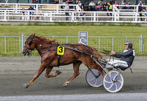 Aika-Vastus on ottanut uransa molemmat voitot Joensuusta.