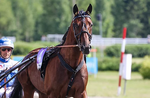 Mr Stahlilla on riittänyt epäonnea viimeisen puolentoista viikon aikana.