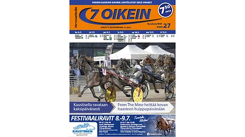 Tuhti 92 sivua totopelitietoutta