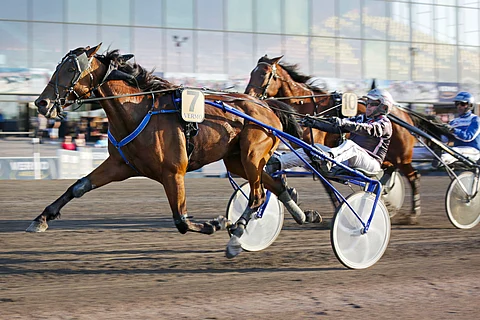 Explosive Secret on voittanut ennenkin Vermossa 3120 metrillä.