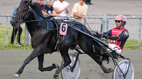 Atupemillä on ollut terveysmurheita toinen toisensa perään, mutta hevonen on nyt treenissä. Kuva Joensuu-ajosta viime vuodelta.