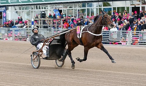 Daniel Redénin Hail Mary on suosikki Solvallassa.