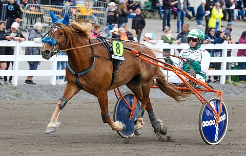 Vennelmon Varma ja Janne Räisänen