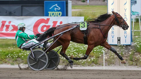 Ari Moilanen kannusti Night Sky Eaglen voittoon Teivon tiistai-illassa.