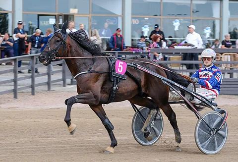 Stonecapes Thor on peliprosenttejaan todennäköisempi menestyjä.