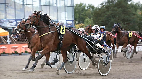 Captain Cloud nostetaan päätöskohteen ideavarmaksi. Ruunaa ohjastaa kuvasta poiketen Esa Holopainen.