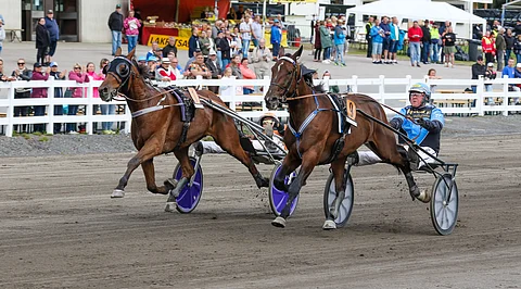 St Michel-viikonloppuna O.P.Roc voitti mailin tiukan kamppailun Gerris Trixiä vastaan.