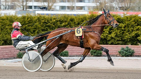 Mask Off on avauskohteen varma.