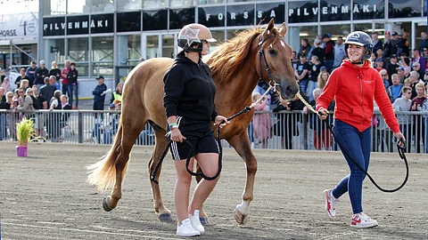 Pyssyharjun Roomeo kohosi kunkkarihuutokaupan kalleimmaksi hevoseksi.