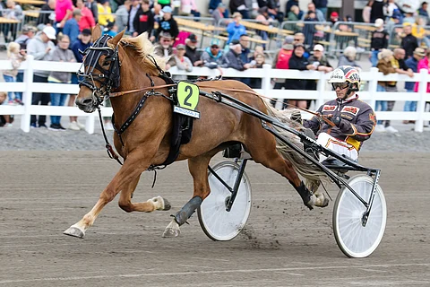 Liisan Tulilinnun kilpailu-ura on ohi.