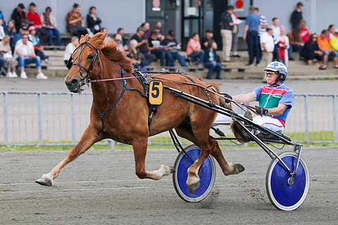 M.A. Piste ja Kari Rosimo.