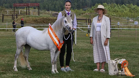 Rotunsa mallikelpoinen edustaja Moondelight Risebud Kaisa Kinnarin ja rodun tuomaroineen Anna Pajasen kanssa Savijärven kartanon kentällä.