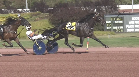 Brian Searsin ajama Temporal Hanover piti ykköseksi Pocono Downsin Sun Stakes Saturday-tapahtumassa. Kuva: