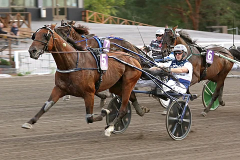 Arctic Lover otti voittonsa tyylikkäästi johtavan rinnalta.