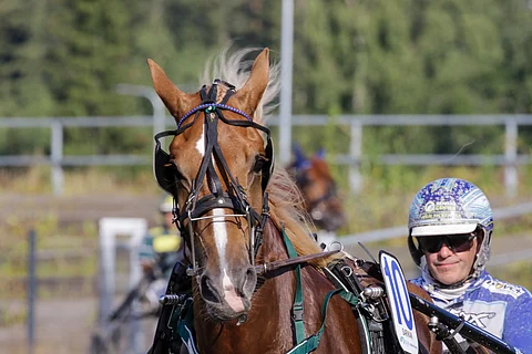Timo Korvenheimon valmentama Sarikan lähtee karsimaan Villimiehen Tammakilvan finaaliin.