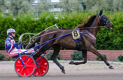Olli Koivunen oli tuttu näky Stonecapes Ulrican rattailla.