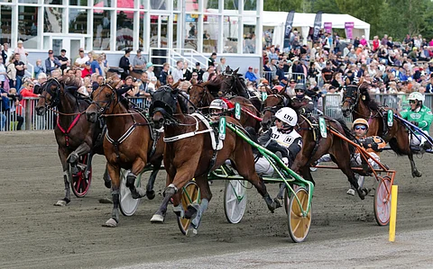 Rahajamatch tavoittelee Toto75-voittoa ideavihjeen toisena varmana.