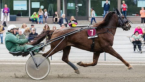 Pertti Hakkaraisen valmentama Panthera starttaa Toto65-pelin neljännessä kohteessa.