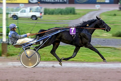 Samvais on päätöskohteen varma.