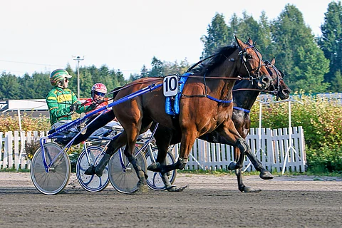 Jukka Torvisen ajama Quite So Yanky palasi pitkästä aikaa voittokantaan. Se runttasi lopussa niin ikään hyvän juoksun tehneen Free From Finesin edelle.