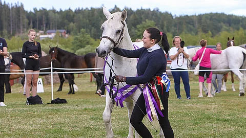 Paras veteraani Cluain Caireach oli täynnä virtaa vielä loppukehissäkin. Jenni Hauhia esitti 18-vuotiaan connemaratamman.