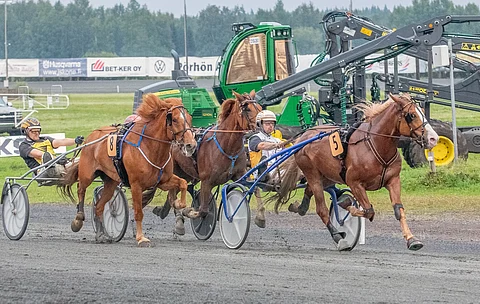 Iikka Nurmonen ja Stallone hallitsivat keulaan päästyään Ruunaruhtinas-kilpailun avausosalähtöä varmasti maaliin saakka.