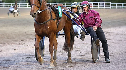 Henri Bollström, Ari Karttunen ja Myrskyri ovat tuttu näky matkalla voittajakehään. Näin tapahtui myös viime syyskuussa Vermossa.