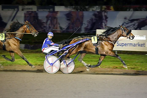 Harri Koivusen valmentama ja Olli Koivusen ohjastama ruuna on palannut vahvana tauolta.