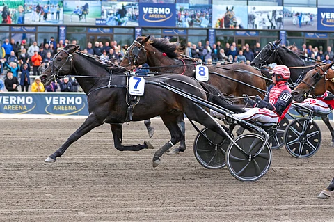 Atupem on todella tullut takaisin.