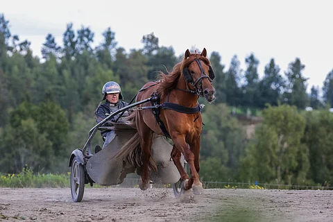 Pieni hetki joudutaan vielä odottamaan V.G. Voiton kauden avausta.